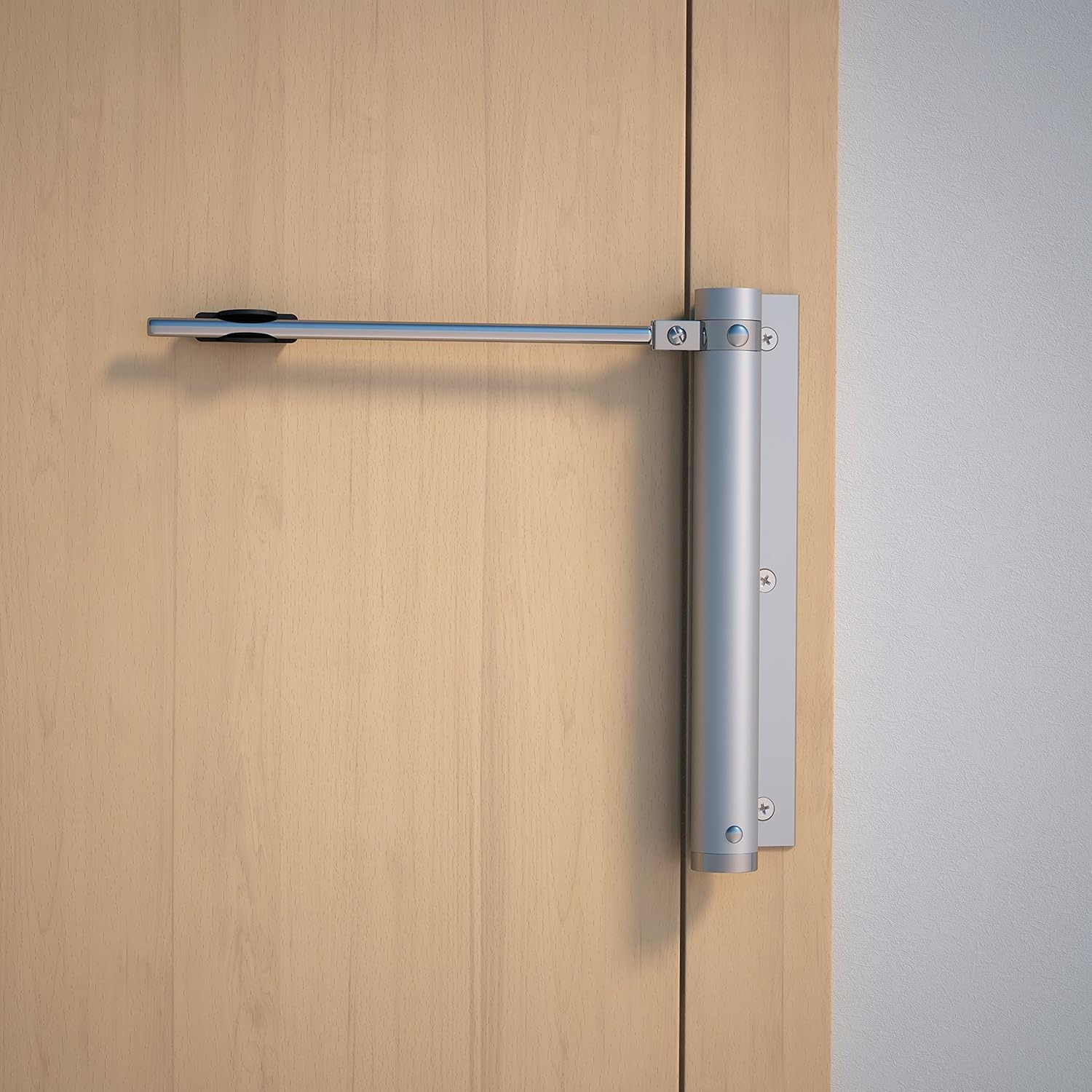 fremme Ferme porte en acier inoxydable – Image 1